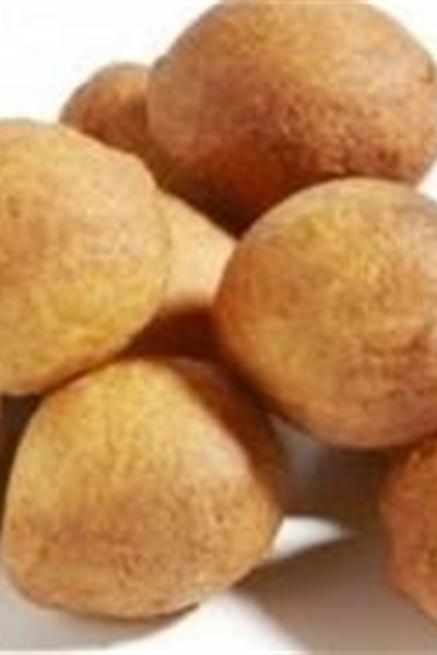 Oliebol zonder